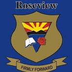 Roseview Neon Pulse